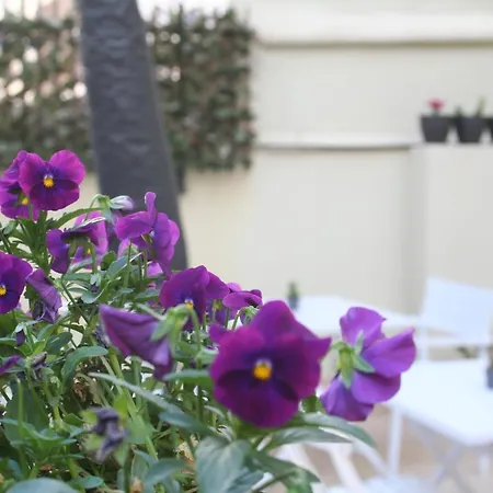 잘라메라 발렌시아