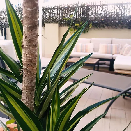 Pensionat Zalamera 4*