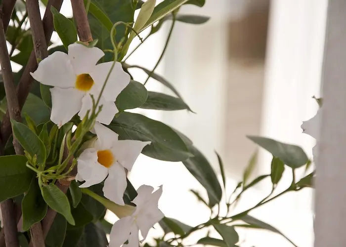 Pensionat Zalamera Valencia